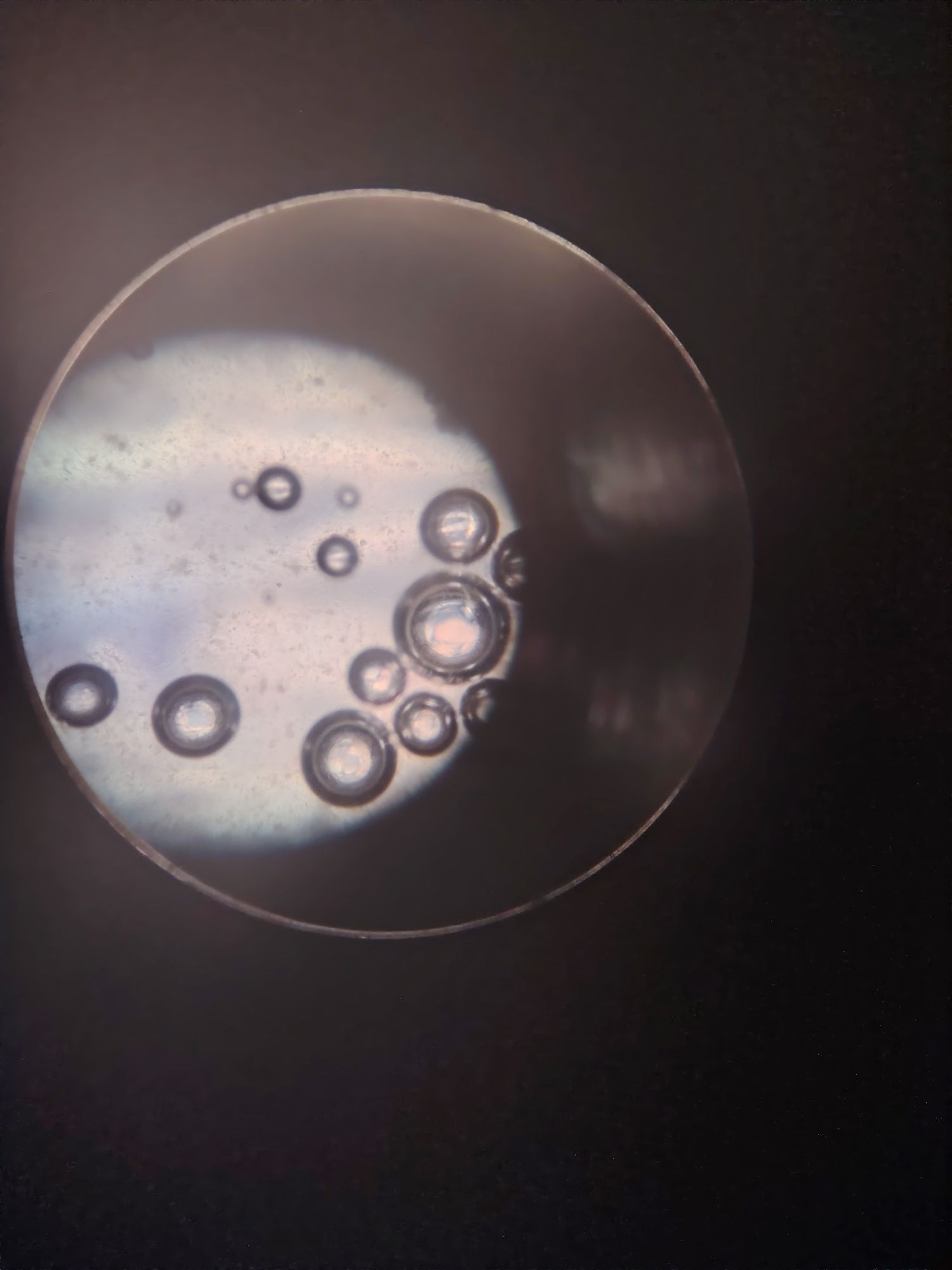 Microscop laborator Swift Japan M3200