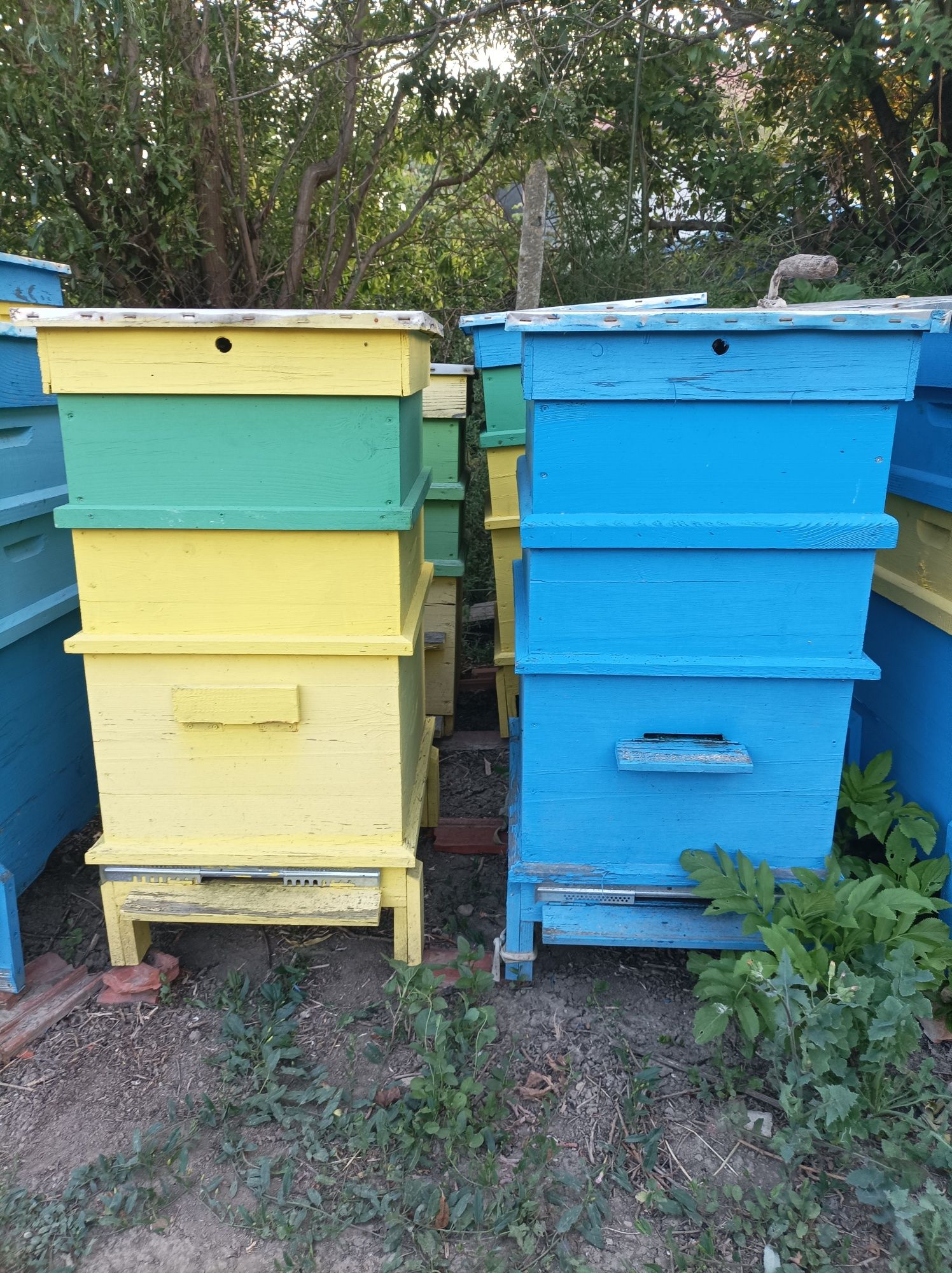 Продавам пчелни кошери