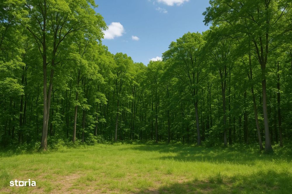 Teren Corbeanca|Langa Padure