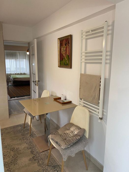 Garsoniera str Paltinis