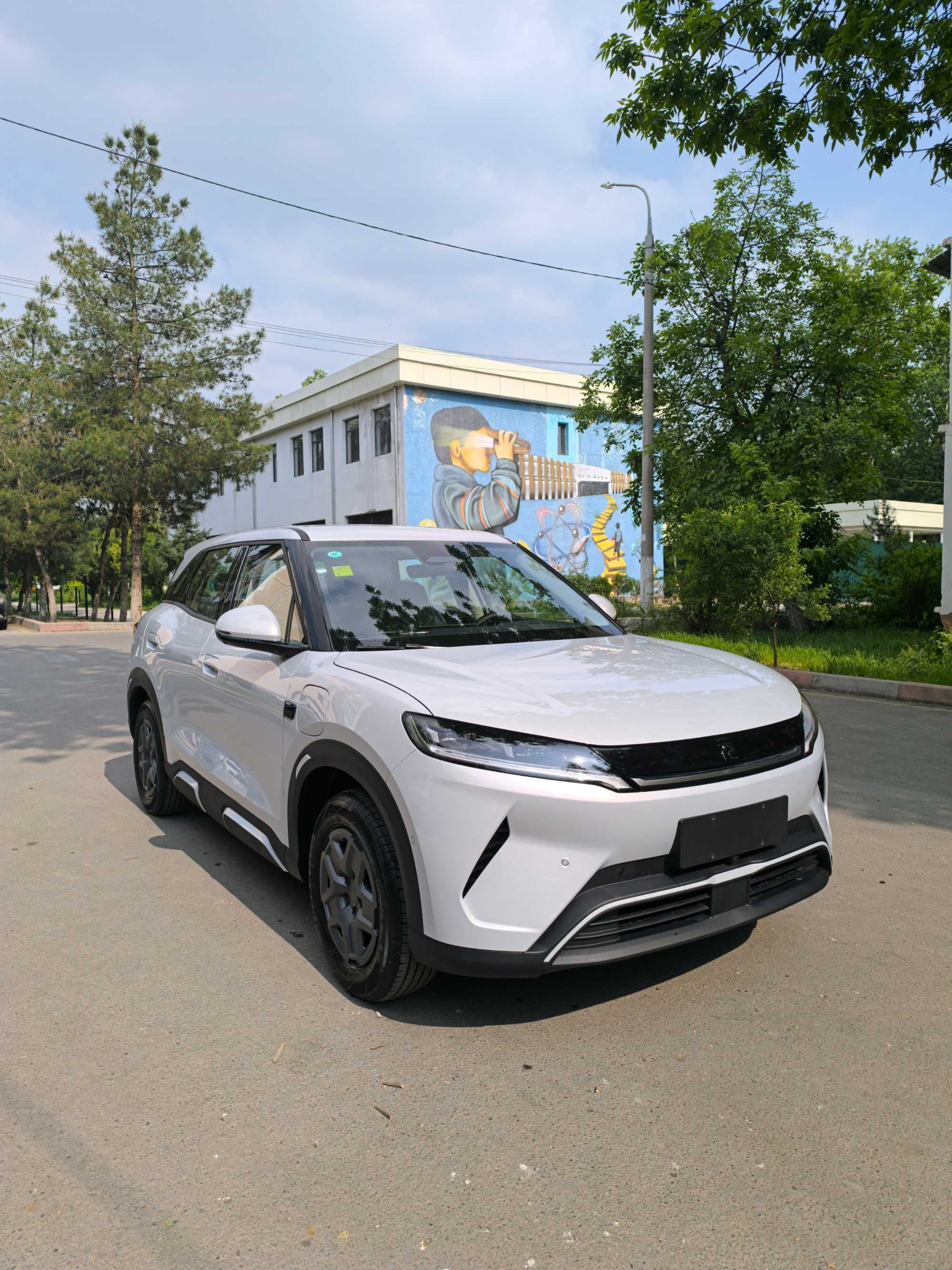 BYD YUAN UP Smart Driving 2025