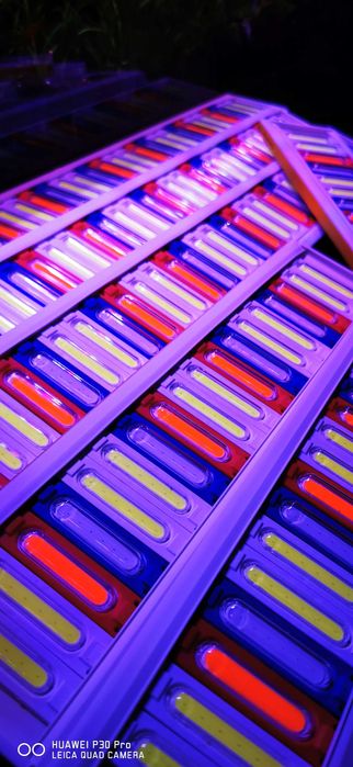 Lampa pentru acvariu plantat speciale pentru cresterea plantelor