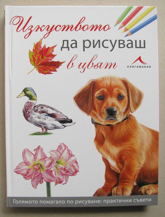 Рисуване Изкуството да рисуваш в цвят