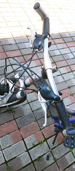 Bicicleta. Pegasus
