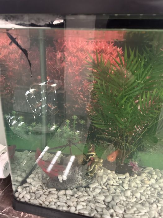 Продается аквариум