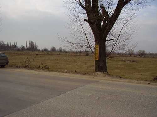 Парцел в гр. София,  Чепинско шосе