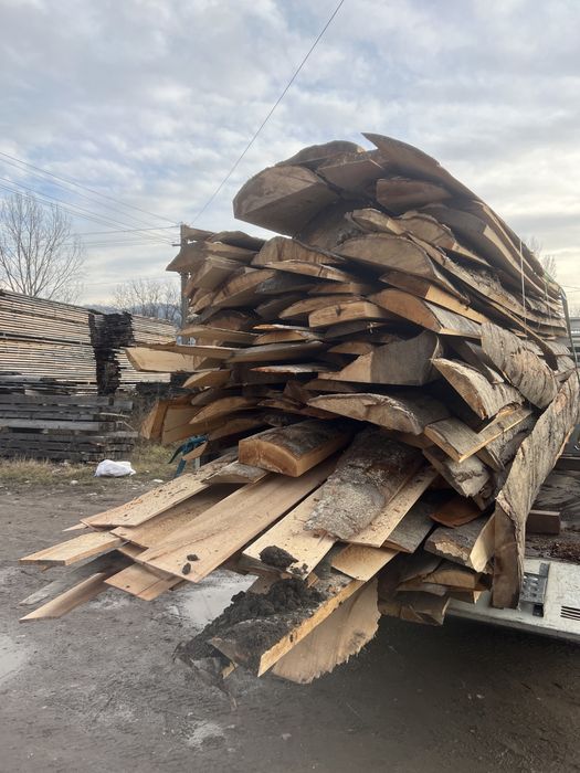 Lemn de fag/ Laturoaie de fag