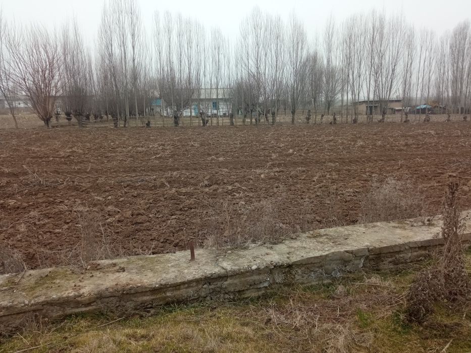 20 Soʻtix yer maydoni