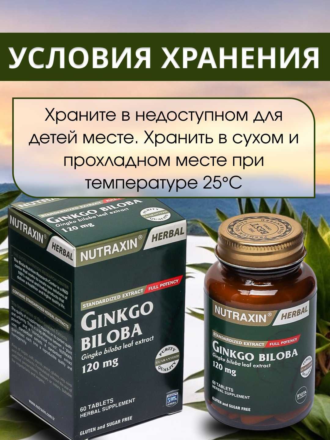 Nutraxin Гинго Билоба Ginkgo Biloba 120 мг, улучшает память и мозга