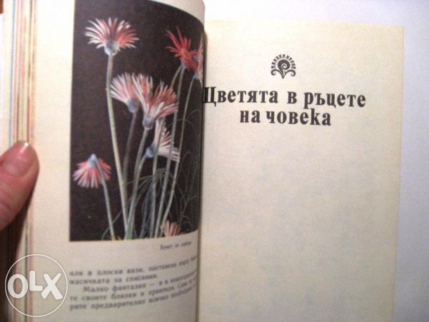 Дъга от цветя