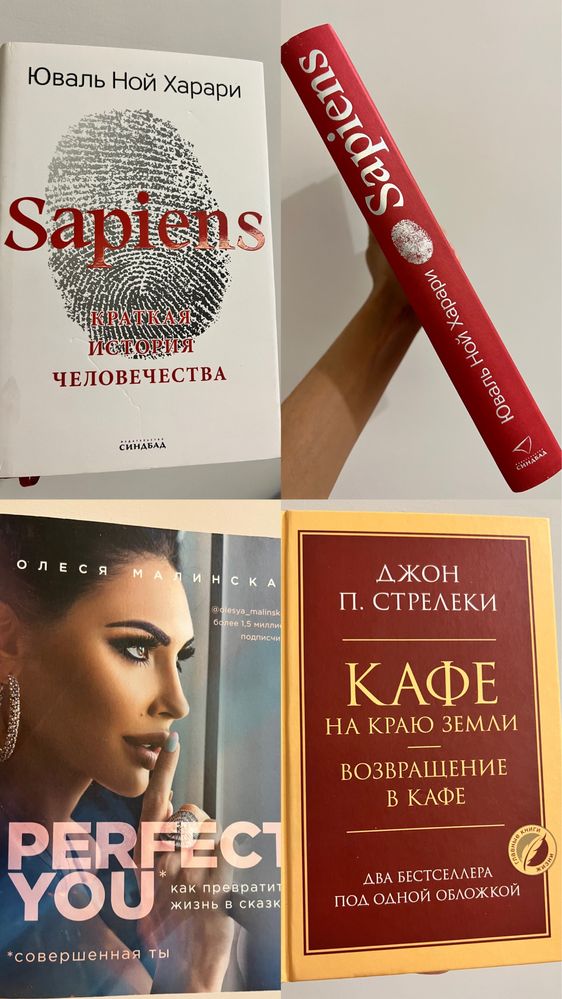 Sapiens, Perfect You О.Малинская,Кафе на краю зем2.ч