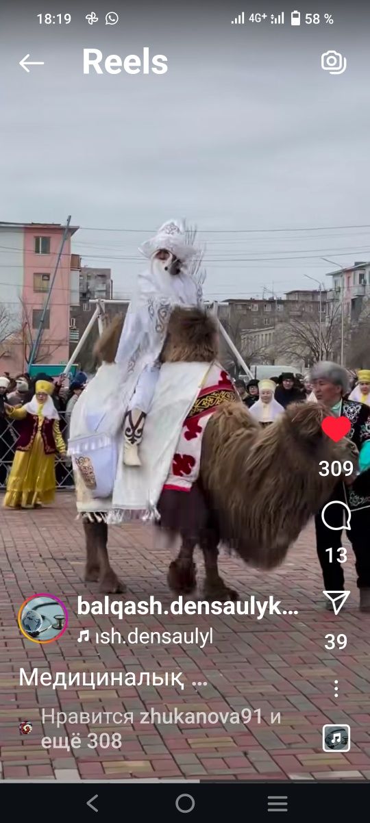 Продаётся красивые верблюды разных возрастов.верблюд .