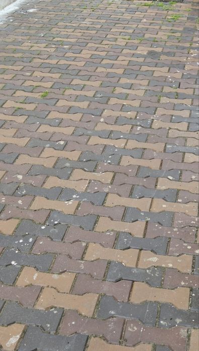 Oferta Pavaj biscuite folosite+cadou