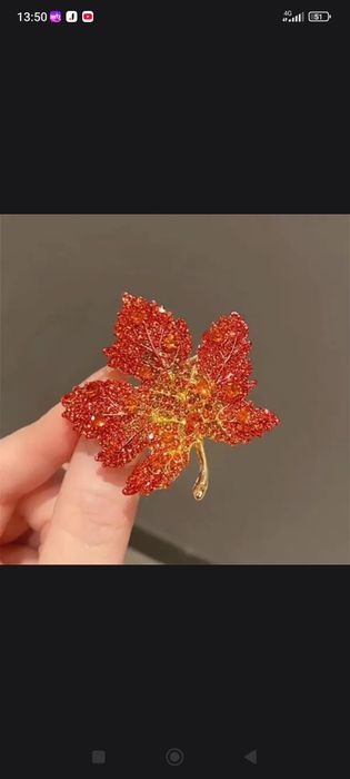 Бюжютерия,очаровательные броши