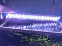 Lampa acvariu,lumina,led,pești și plante