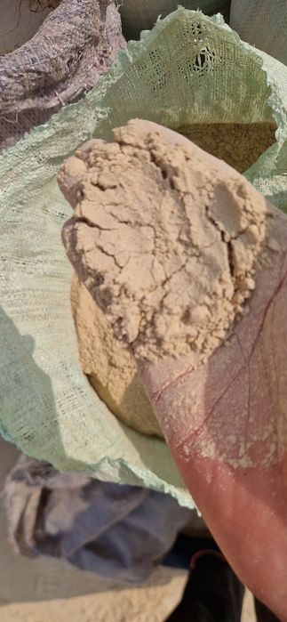 Sholi po'chogini un Holata chiqarilgani bor