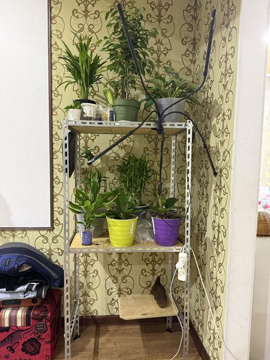 Продам стеллаж срочно