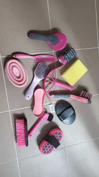 Cutie echitatie cu acesorii incluse