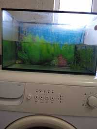 Продам аквариум 30 литров с рыбками