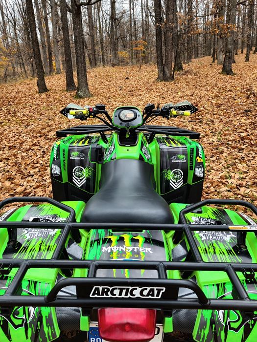 Arctic Cat 400 (nu can am, cf moto, linhai)
