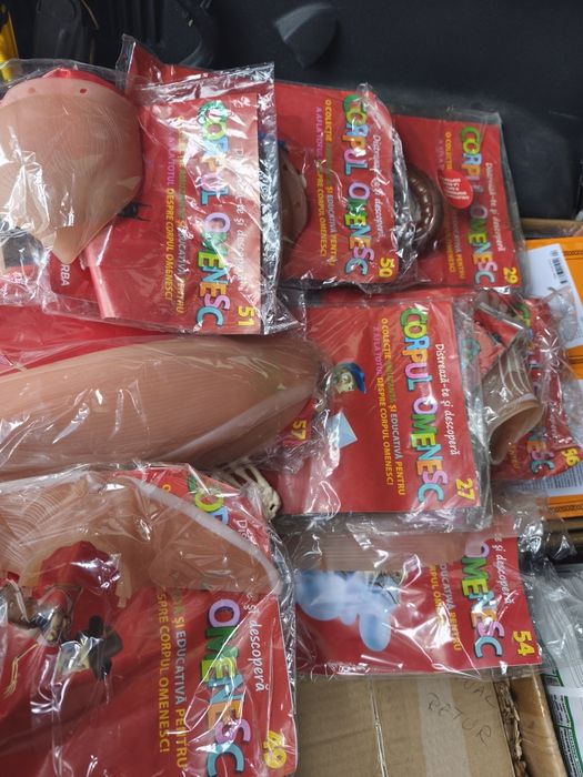 Colectia Corpul omenesc