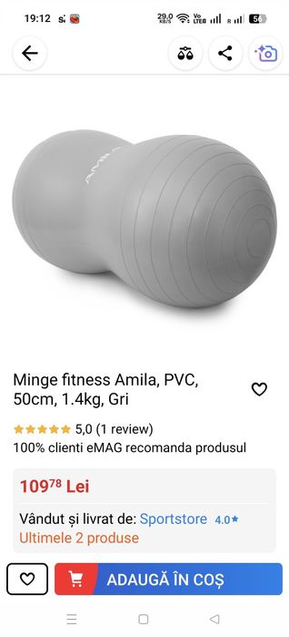 Minge fitness Amila, PVC, 50cm, Gri