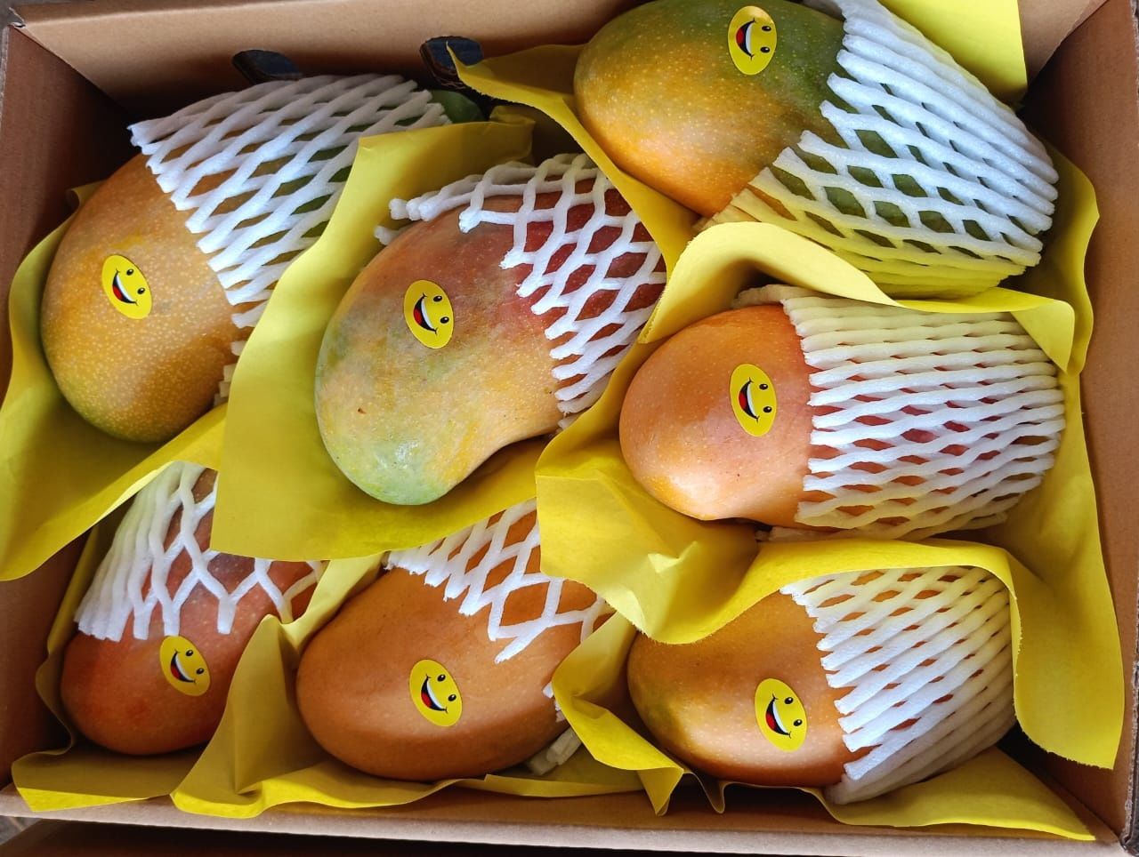 Mango ready to eat