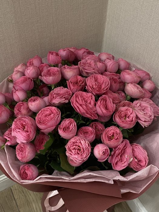 Цветы, пионовидные розы