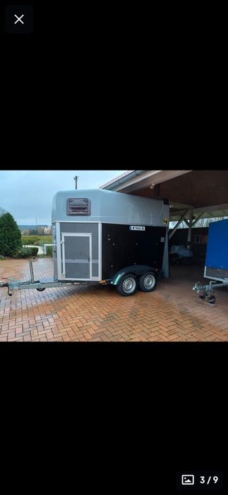 Коневозка на заказ