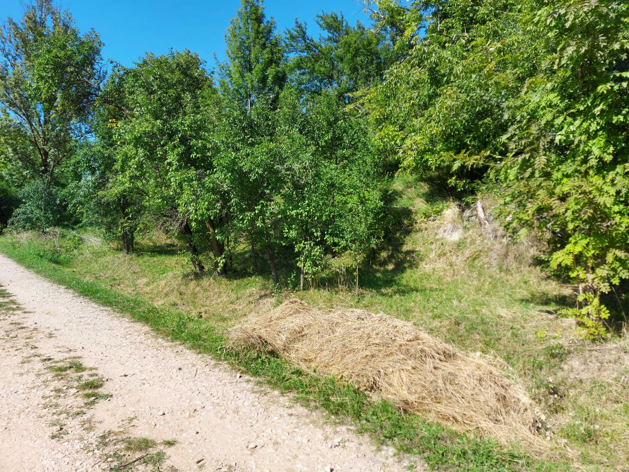 Vând teren intravilan în Sâncraiu, Cluj