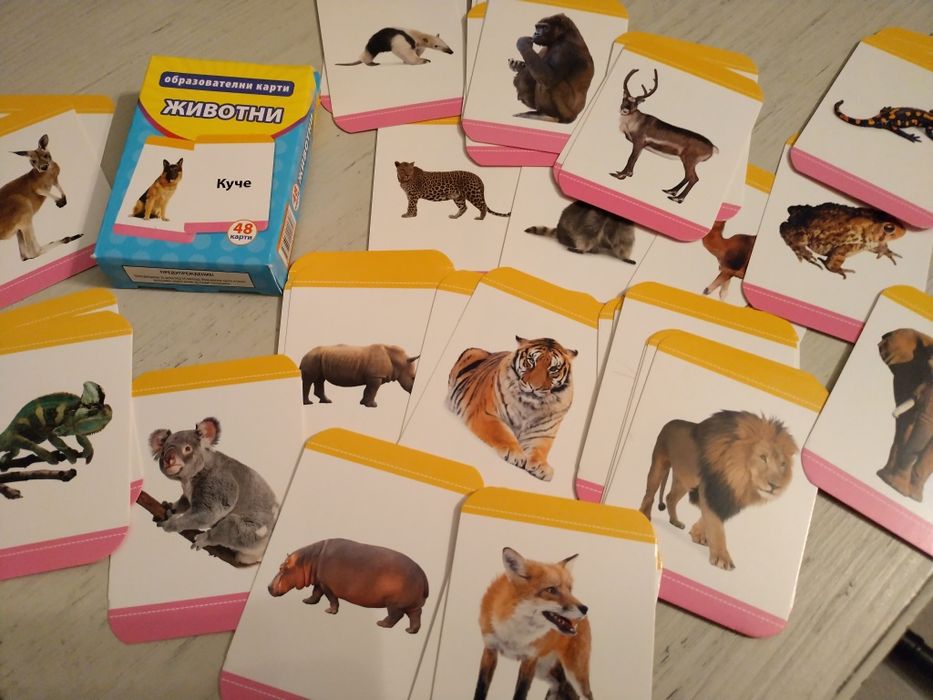 Комплект детски  образователни карти с животни