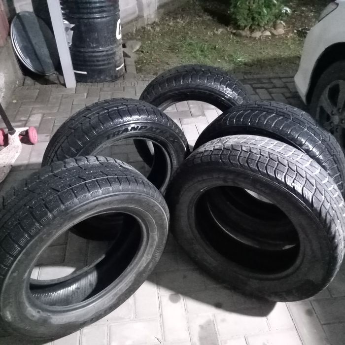 Шины Winter Tranpath