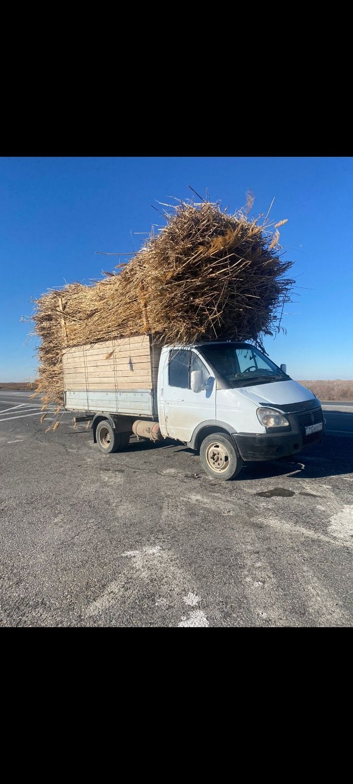 Бау камыс сабан прес бар