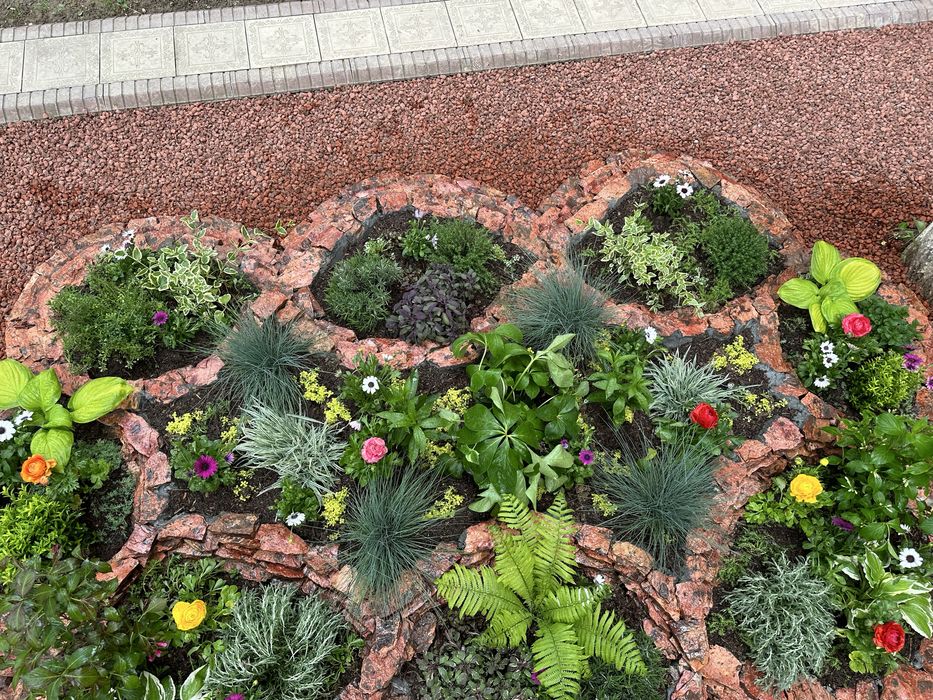 Gazon, Landshaft, Bog'bonchilik - Professional Xizmatlar | Toshkent