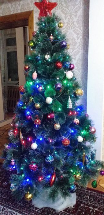 Ёлка Ёршик  Арча