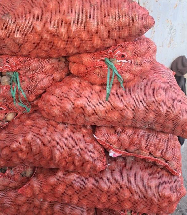 Картошка 160 тг кг