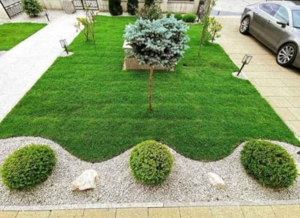 Plante ornamentale de diferite varietatii