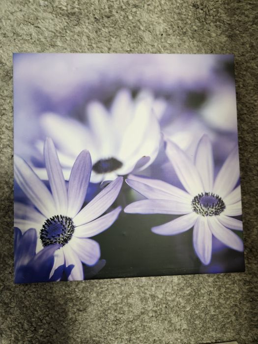 Vand 4 tablouri, canvas, noi