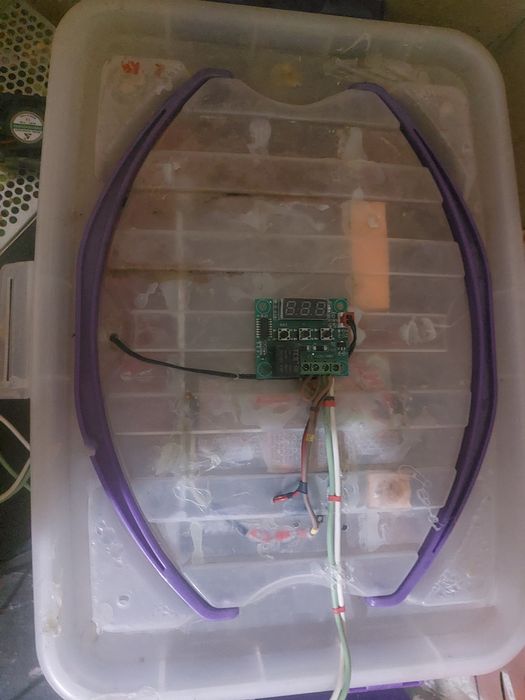 Inkubator, Pol avtomat