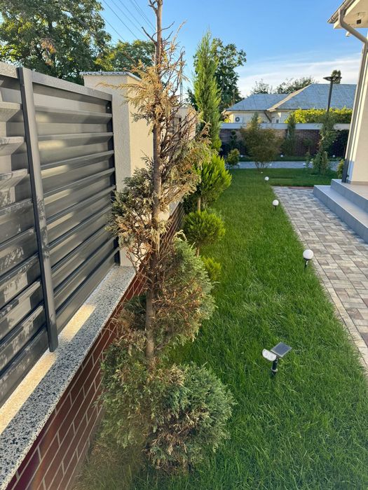 Amanejez gradini cu gazon rulou si plante ornamentale