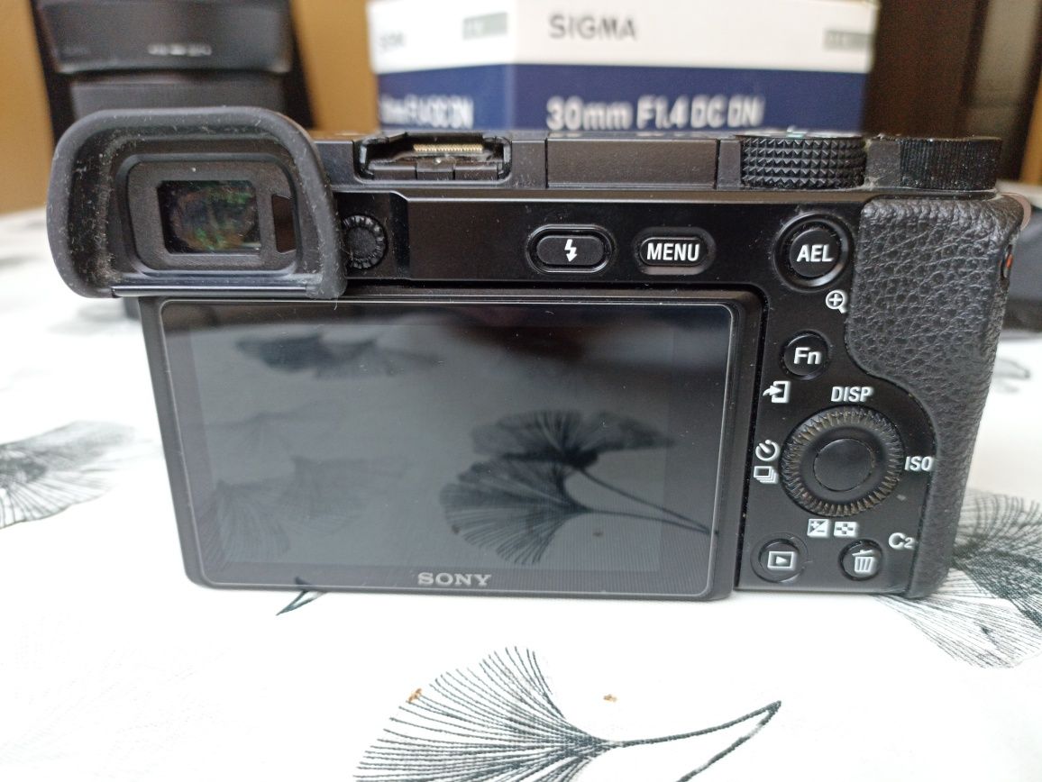 Камера Sony a6100
