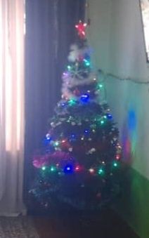 Продаётся ёлка совсей игрушками с 4-гирлянды высота 1,70см