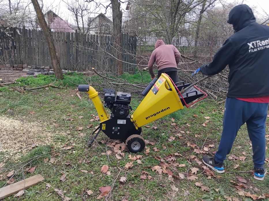 Tualetam pomi fructiferi și vita de vie