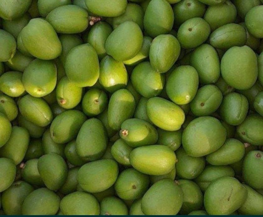 Довча бор 100 гр 60000