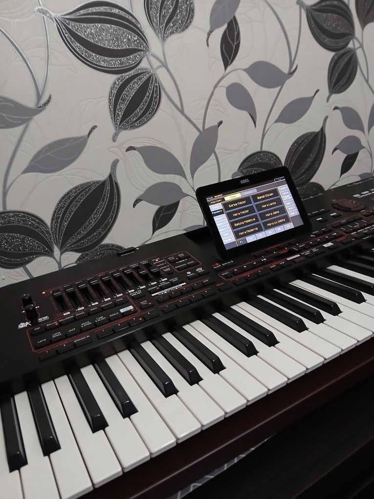 Korg PA4x x76 key în stare impecabilă, set inclus + altele
