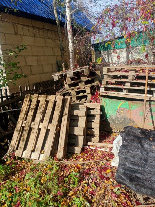 Продам поддоны..