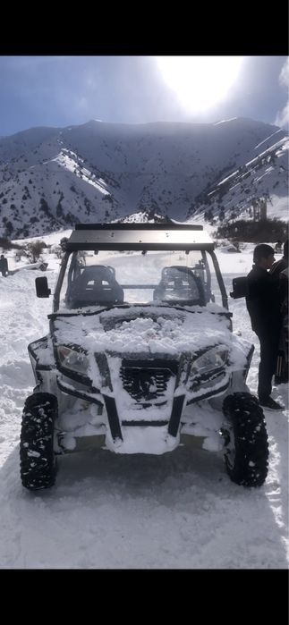 БАГГИ   RM. 800 UTV 4x4
