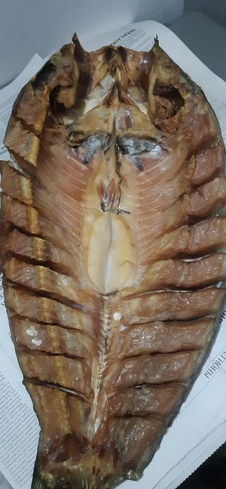 Капченный балыктар