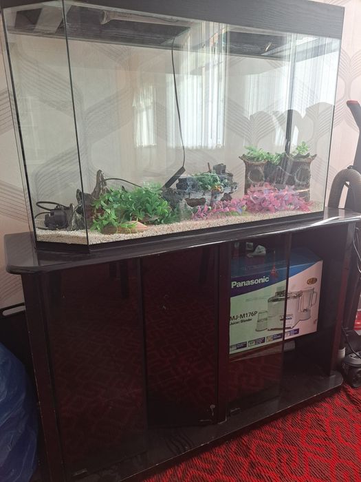 Akvariyum patstavka sotiladi