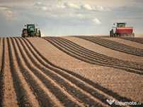 Vand teren agricol Comuna Branceni